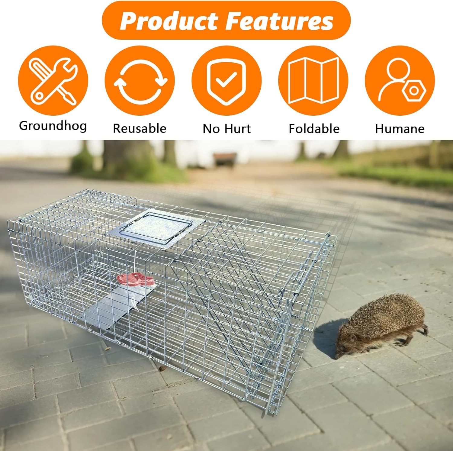 Live Animal Trap Cage, Foldable 37“ Humane Live Trap Cage for Foxes, Coyotes