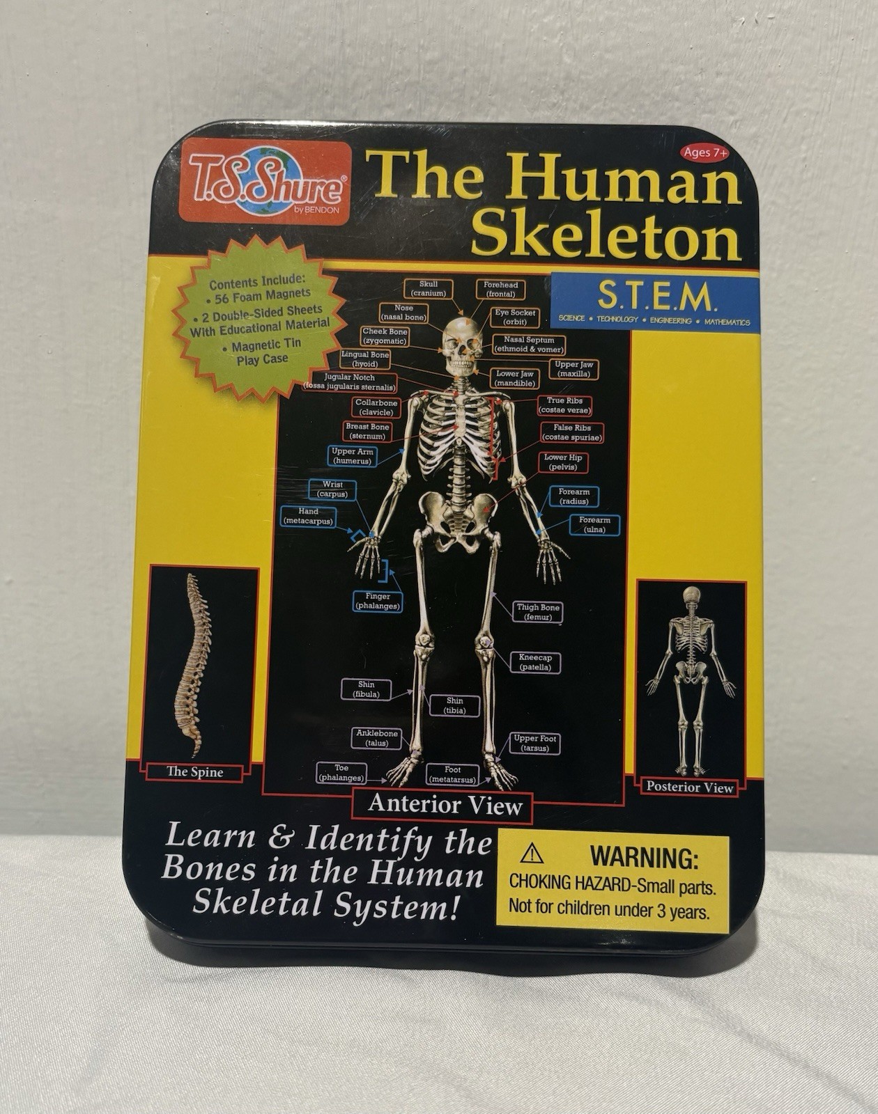 Magnetic Learning Activity STEM in Sealed Tin Human Skeleton  7+