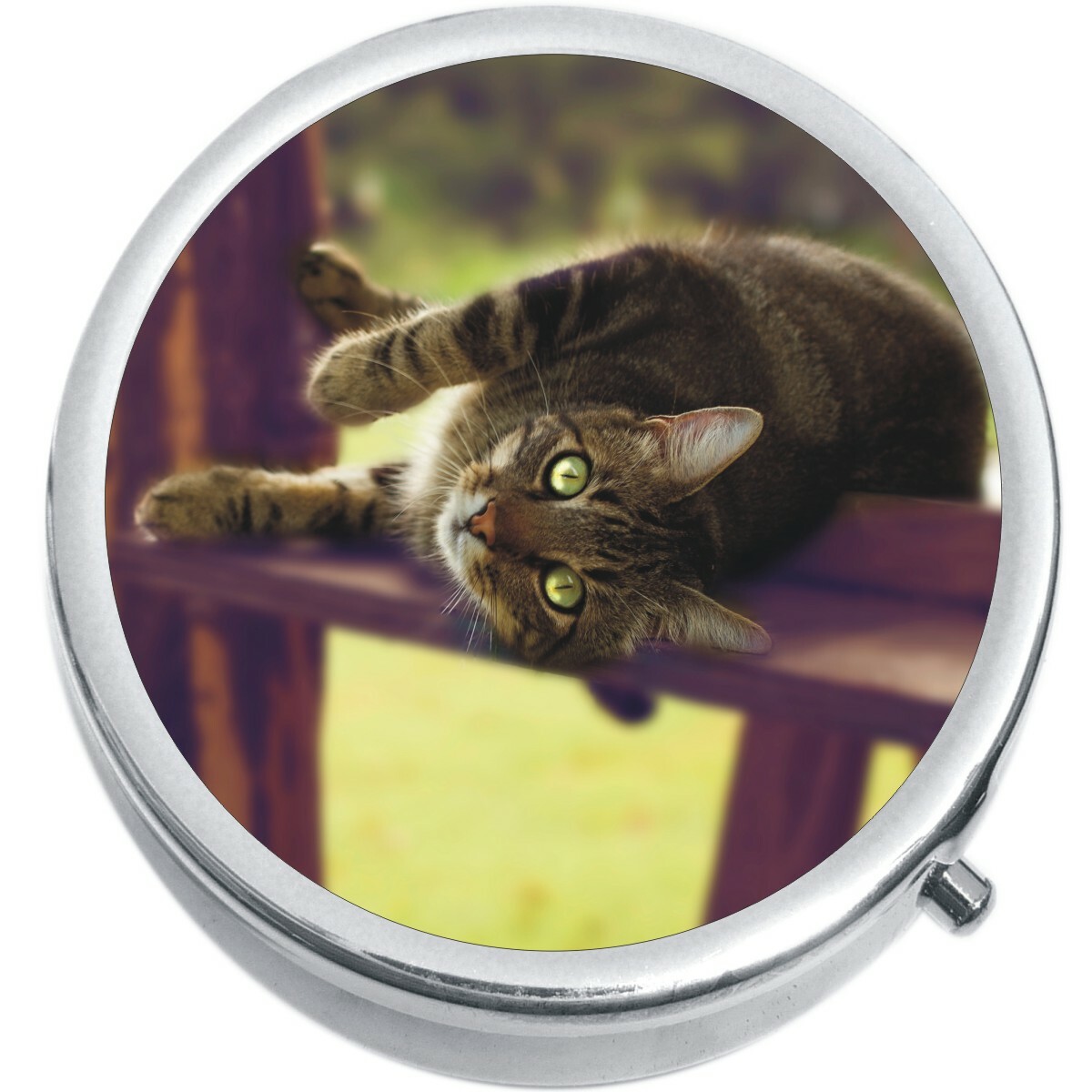 Lounging Kitty Cat  Medicine Vitamin Pill Box