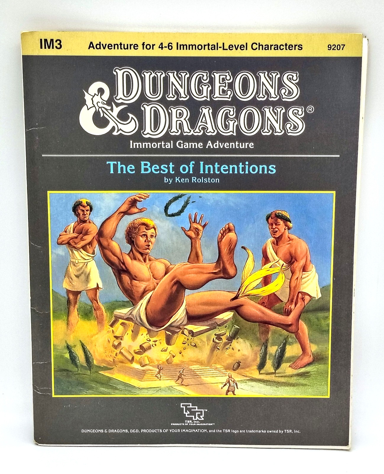Dungeons & Dragons IM3 The Best Of Intentions 1990 TSR9207 Original UNCUT