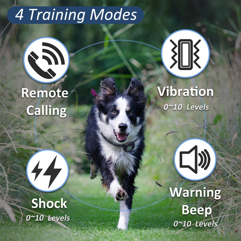 2000M Dog Training Collar Rechargeable Remote 3 Modes Waterproof Trainer