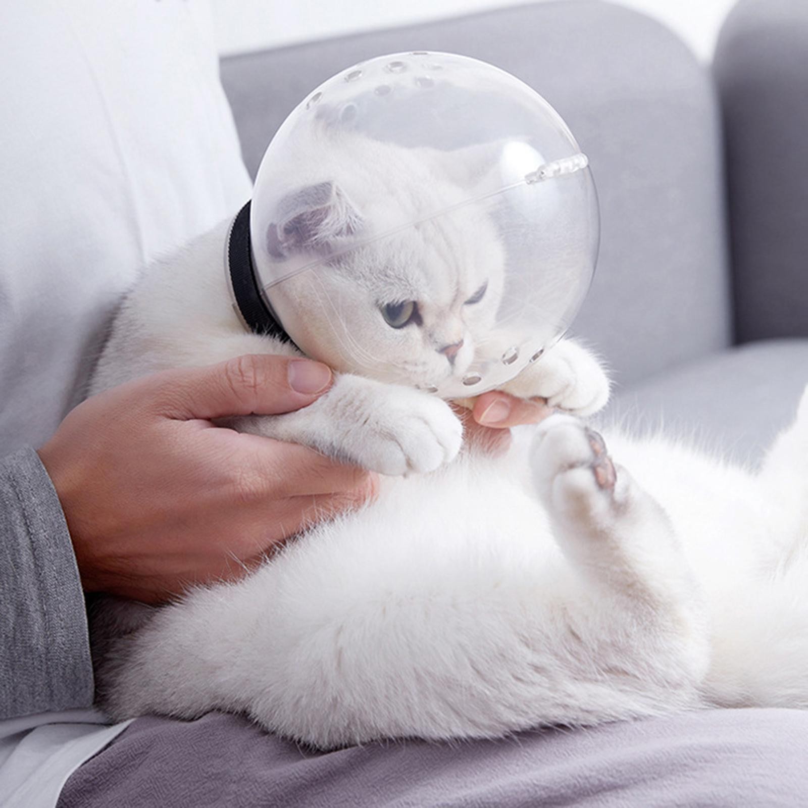 Breathable Cat Muzzle Mask Pets Mouth Cover for Grooming Trim Nails Bathing