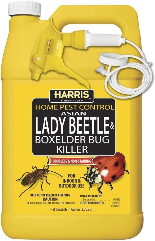 Harris Asian Lady Beetle & Box Elder Bug Killer 1 Gallon Ready to Use w Sprayer