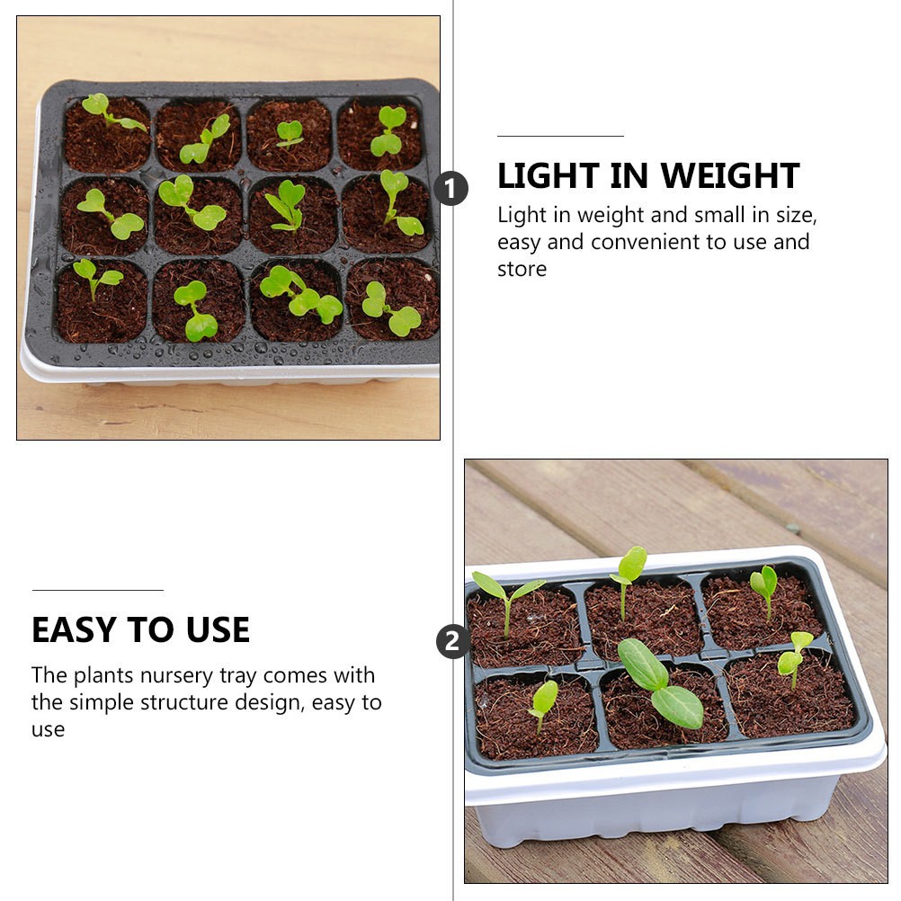 Multi Plastic Plant Starter Boxes for Home with Simple Structure Design 6 Pcs