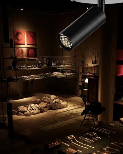 Zoomable LED Ceiling Spotlight Fixture, Flush Mount 10W-4000K Embedded-Black