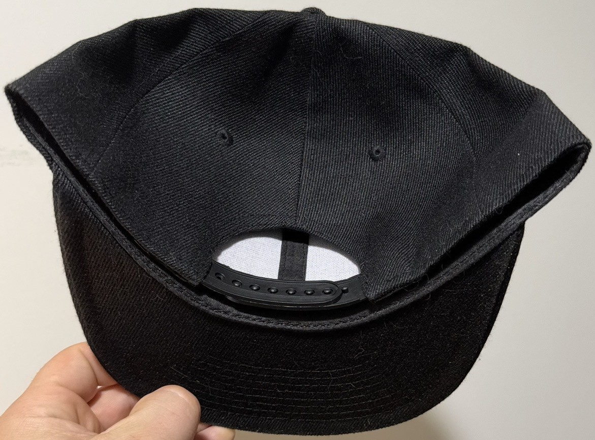 Wisconsin Badgers Hat