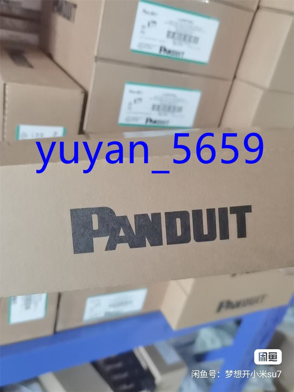50PCS New CJ688TGBU TX Cat6 jack blue Free shipping #4852 LY
