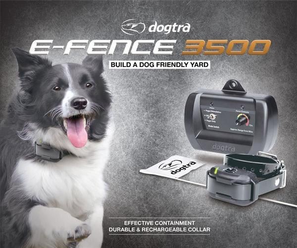Dogtra E Fence 3500 Rechargeable In Ground 4 Dog Containment System 1 Acre Kit