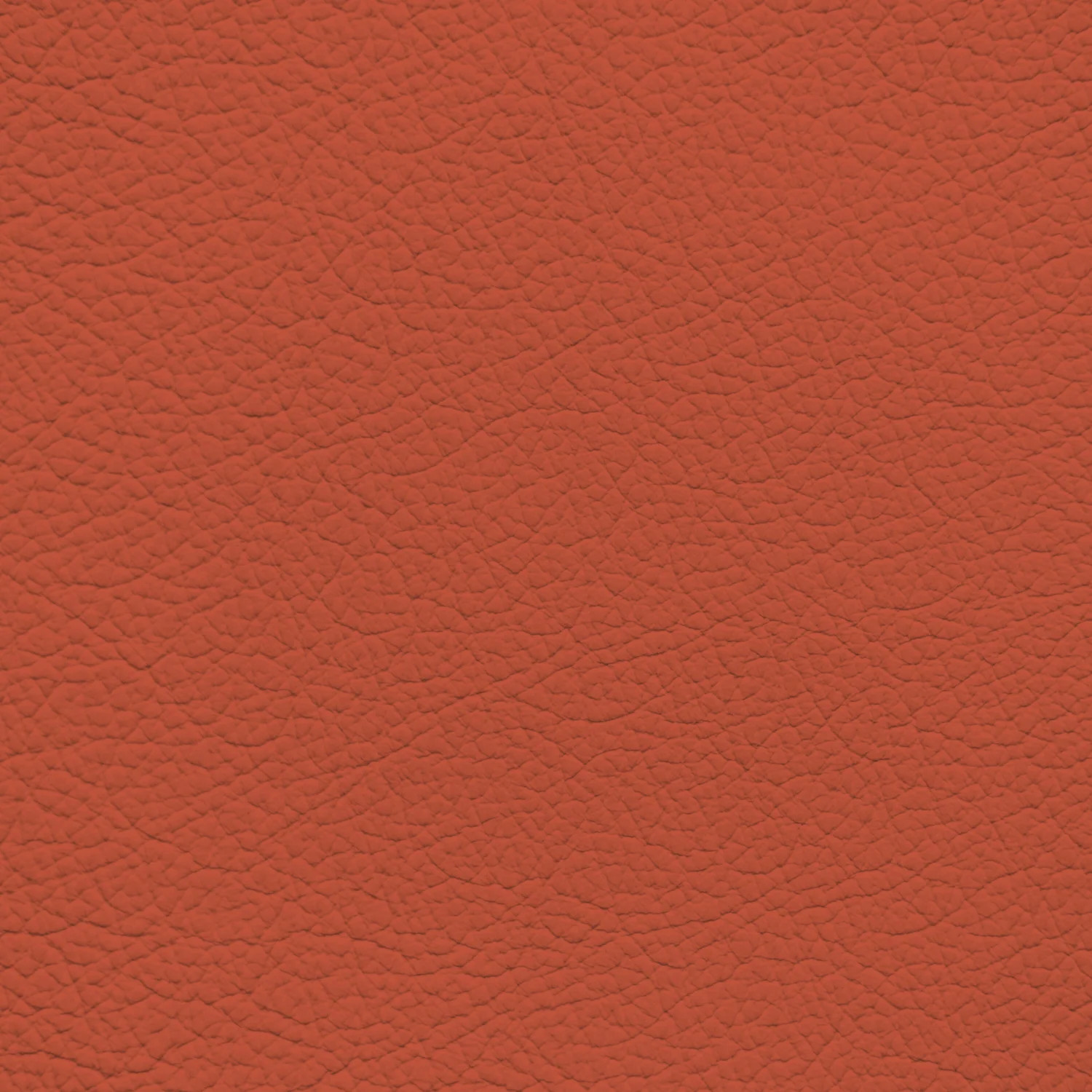 BMW Magma Red Leather Dye