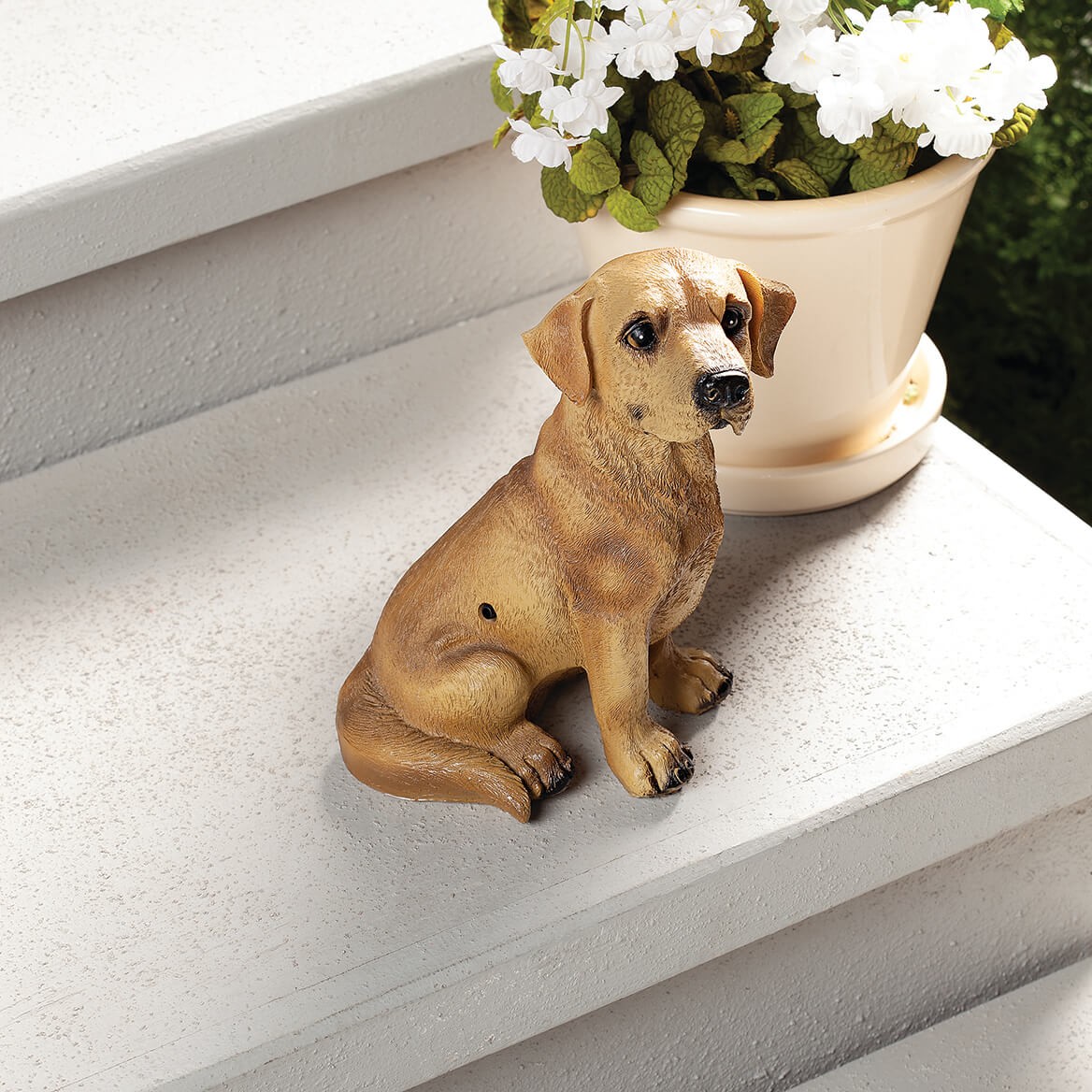 Dog Barking Motion Sensor by Fox River Creations