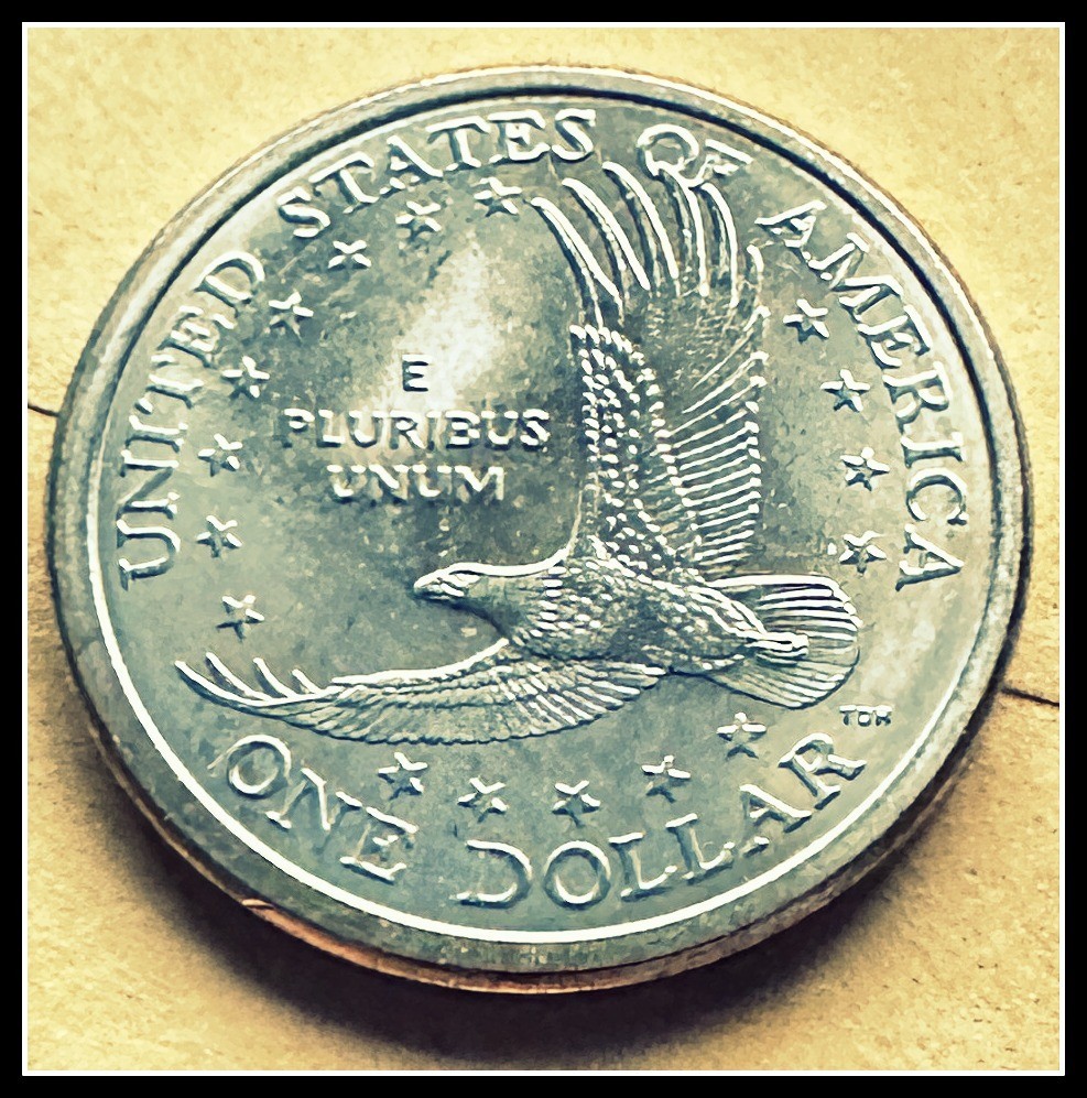 2007 P Sacagawea Dollar Uncirculated US Mint Just removed from Storage Bags.