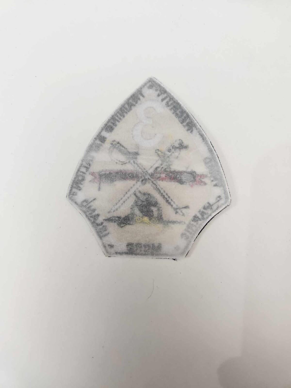 3rd Recruit Training Battalion at Parris Island MCRD Patch Original Unissued