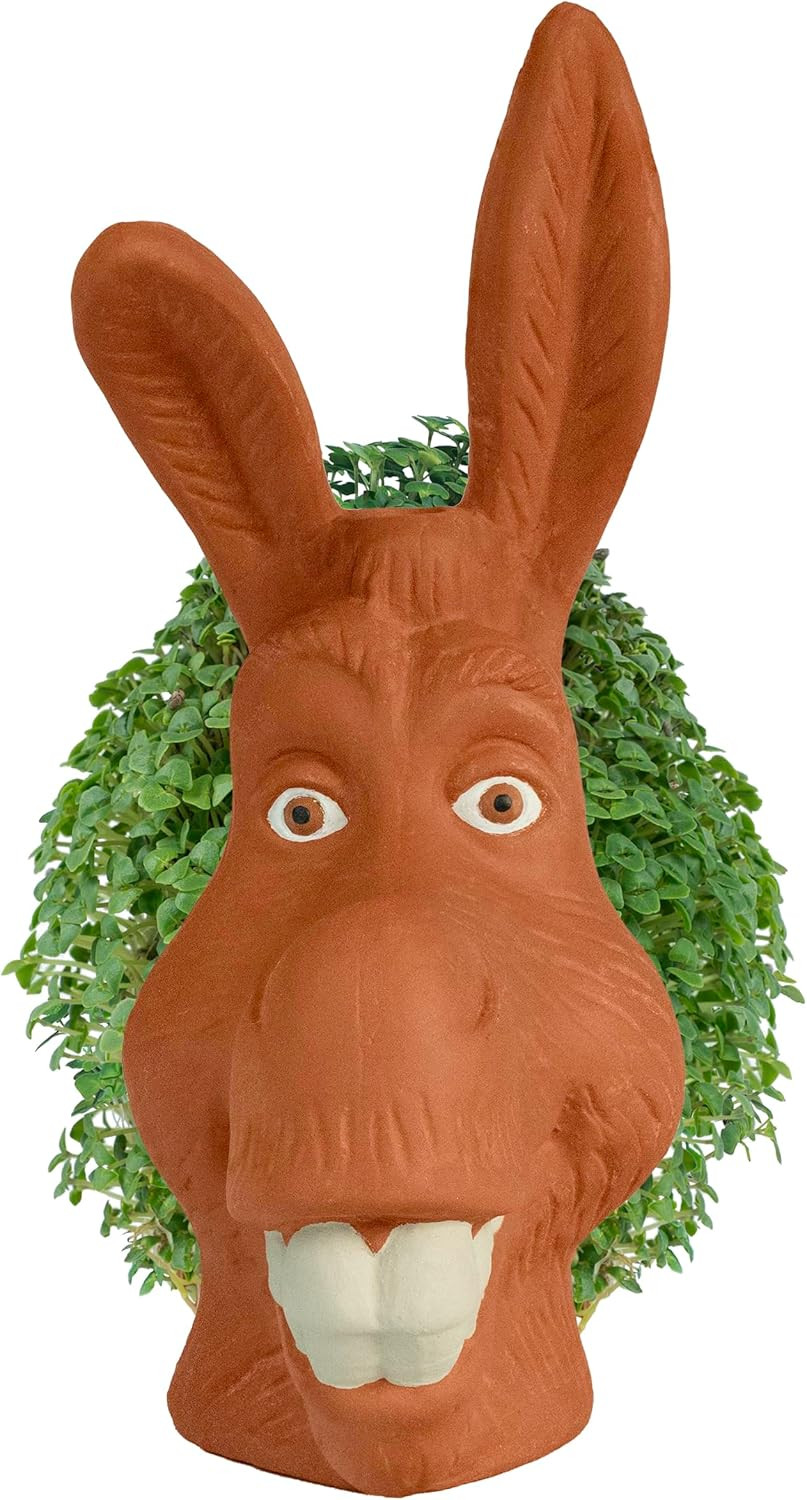 Pet Donkey with Seed Pack, Decorative Pottery Planter, Easy to Do and Fun to Gro
