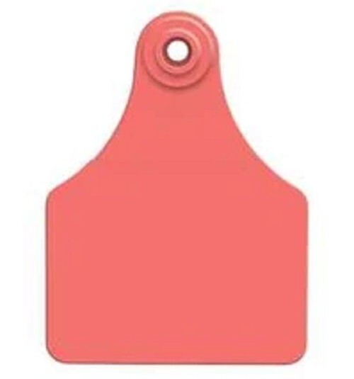 Allflex Global Large Blank Calf Ear Tags 25 Count Pink