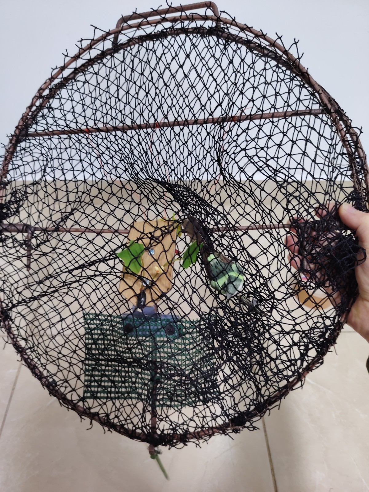 Oval Smart Bird Trap Net – Humane Catching Cage for Sparrows, Pigeons & parrot