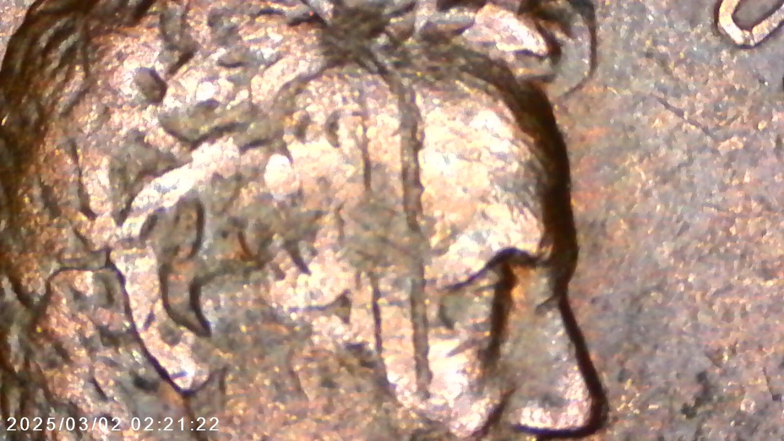 Penny-1984 D Lincoln Cent Error line in the head