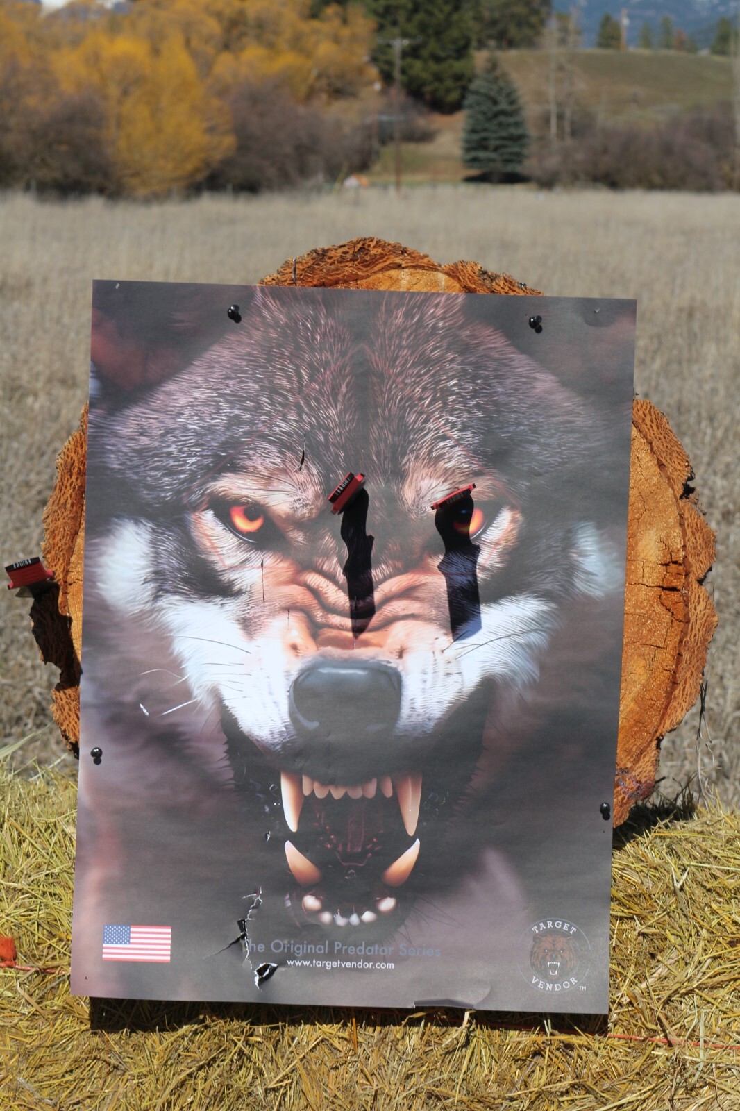 Paper Targets for Handgun Practice High Quality Wolf Target, shooting practice