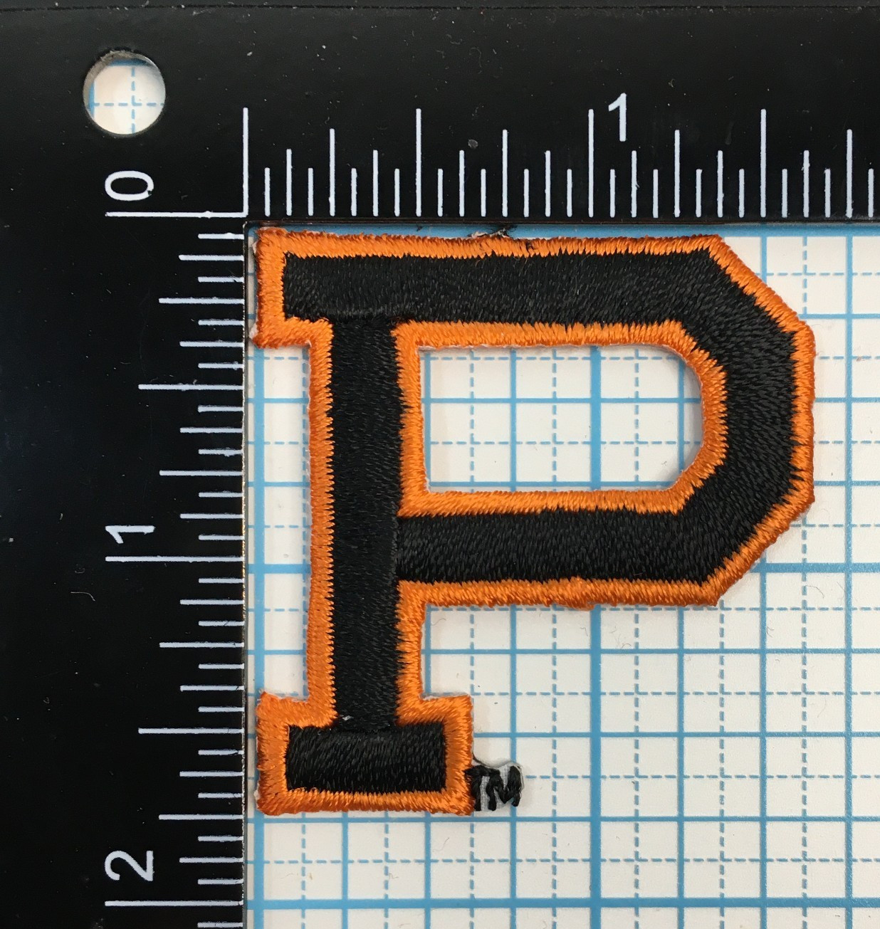 PRINCETON TIGERS NCAA COLLEGE VINTAGE 1.75" BLACK LETTER P TEAM LOGO PATCH P14