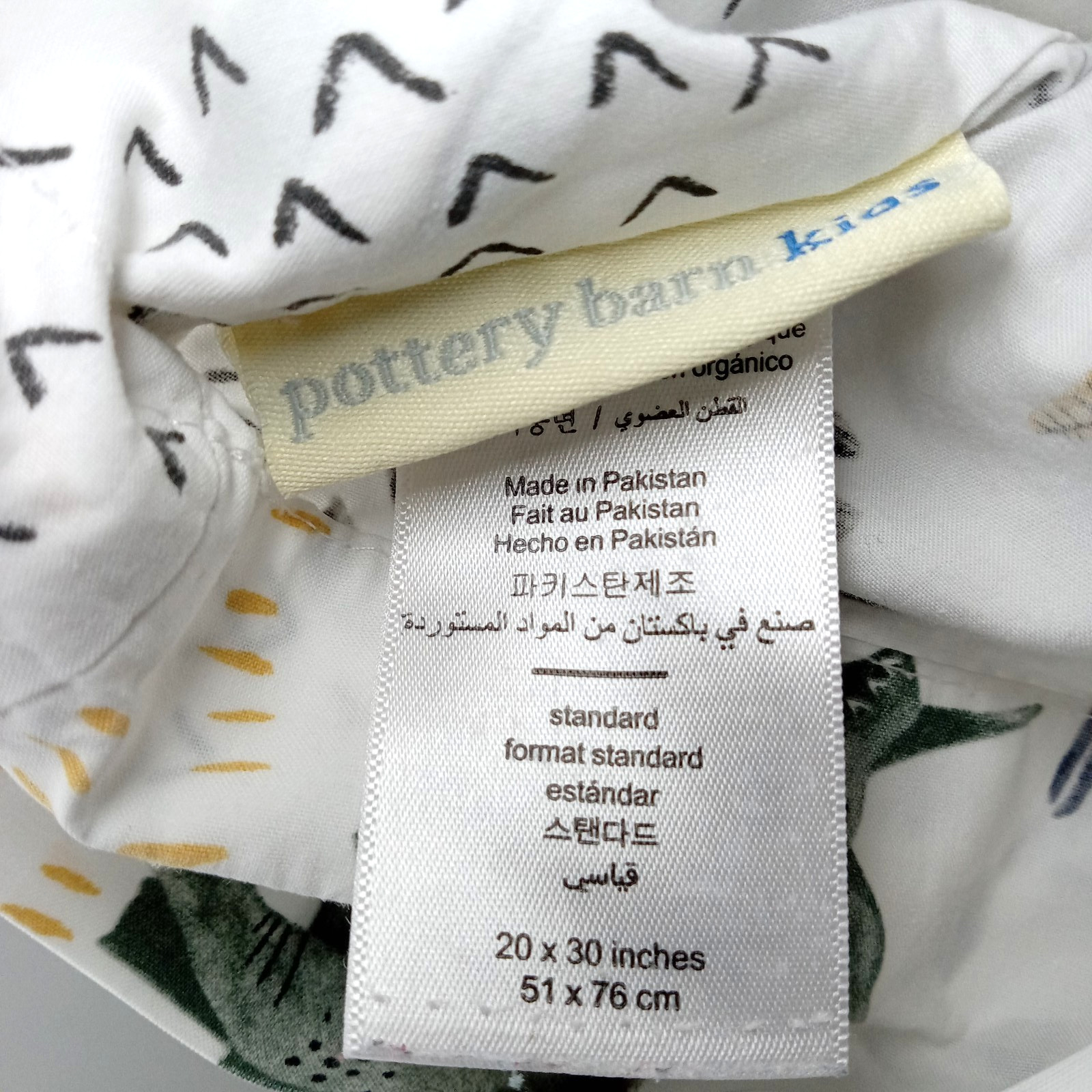 Pottery Barn Kids Organic Cotton Pillowcase Standard Size Boys Dinosaur Theme