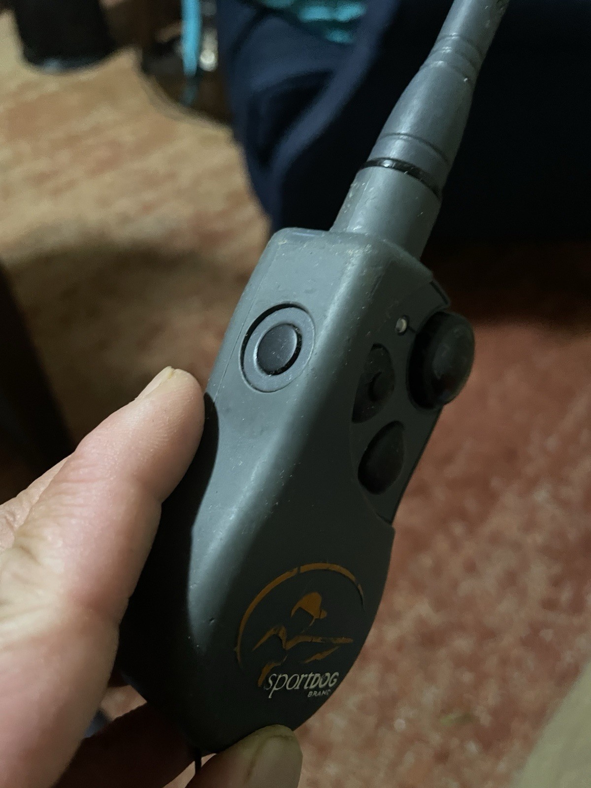 SportDOG Remote Training System Handheld Transmitter, Gray, Hunting