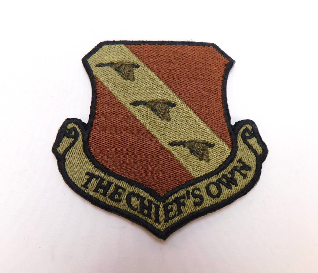 US Air Force USAF 11th Wing "The Chief's Own" OCP Spice Brown Patch Hook Backing