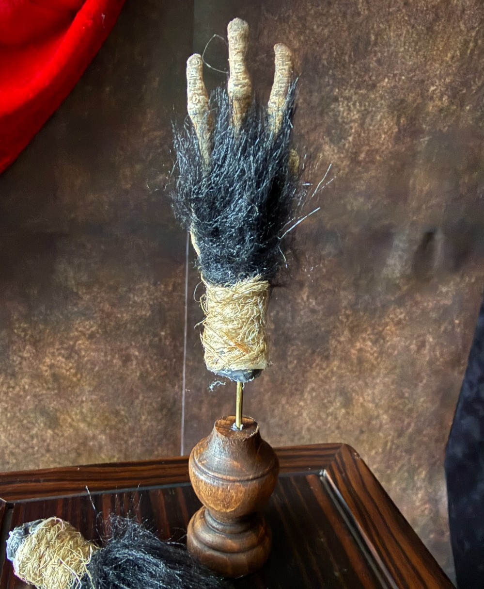 Cursed Monkey Paw for curiosity cabinet Mounted (small)