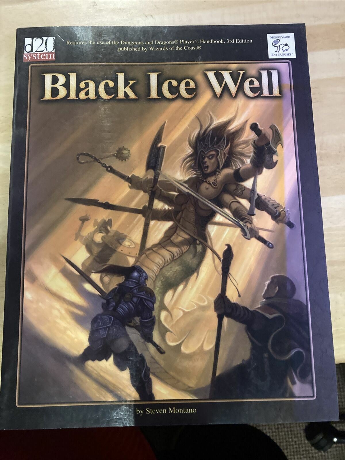 Black Ice Well By Steven Montano - D20