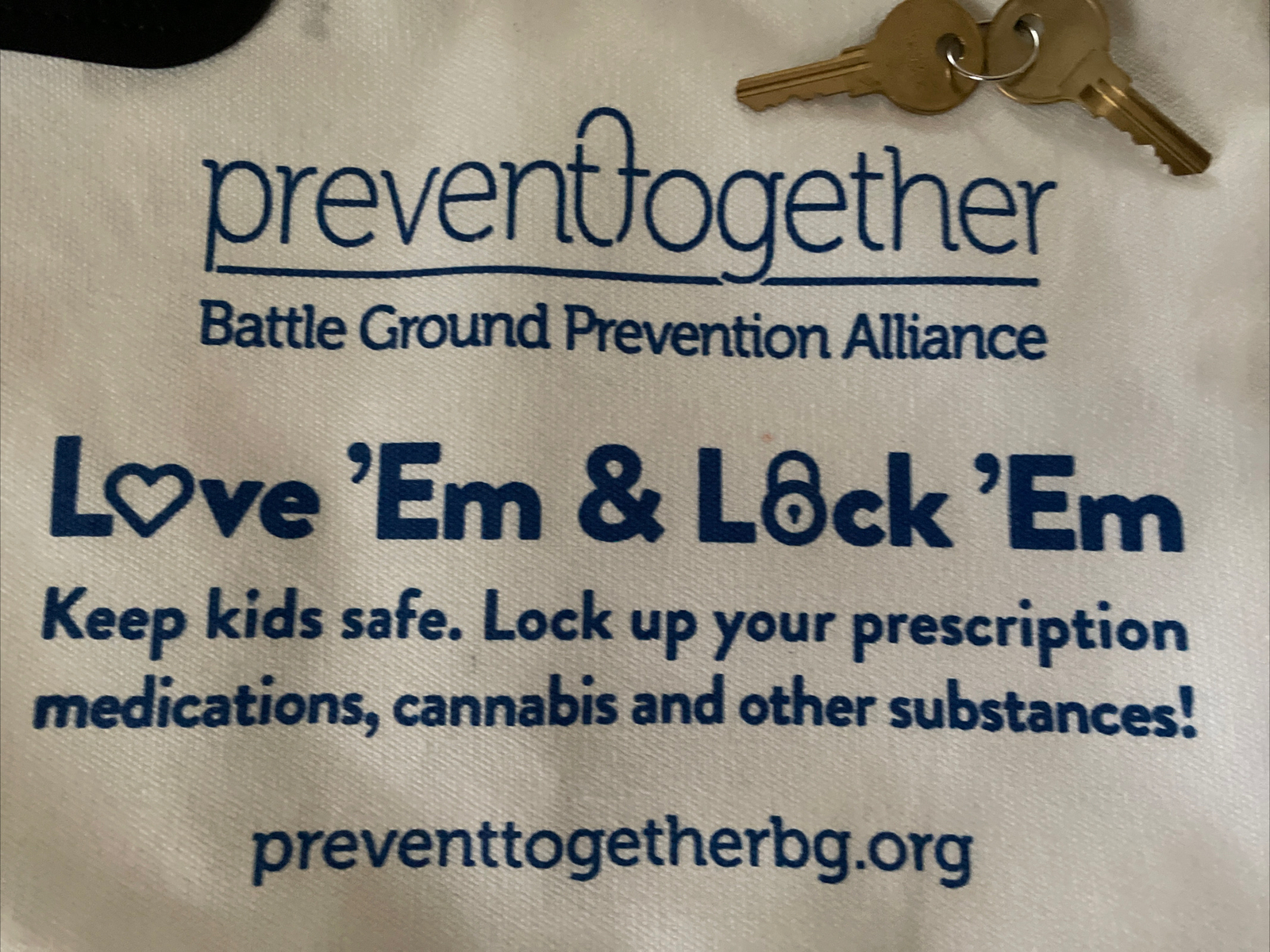 Prevent Together Lockable Zipper Meds Bag