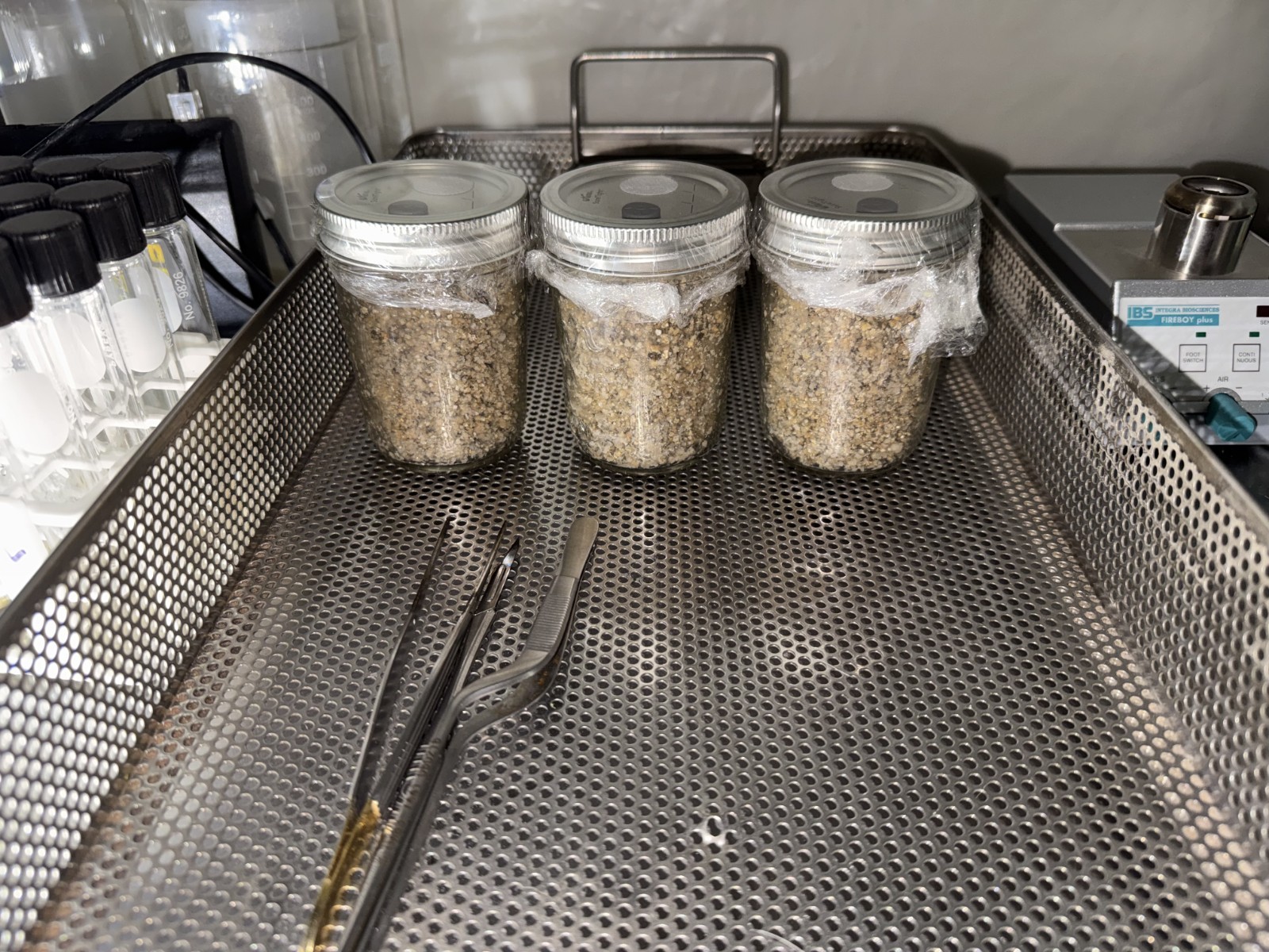 PF Tek-BRF One Dozen (12) STERILIZED 1/2 Pint Jars FAST FREE PRIORITY SHIPPING!