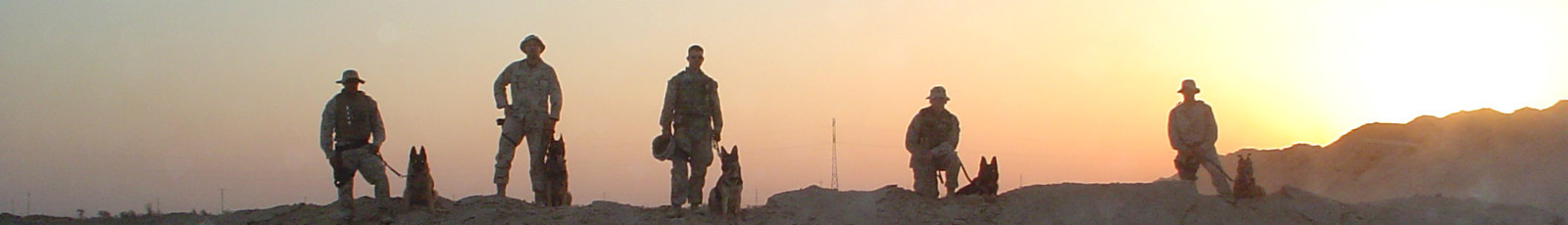 JOINT SP OPS TASK FORCE JSOTF-A SEAL ODA vêlkrö PATCH: MAJOR LEAGUE EOD K-9