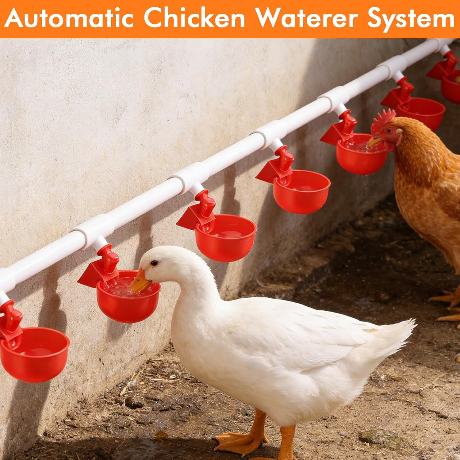 Automatic Chicken Waterer System with PVC Pipeline, Water Cups, Float Valve and