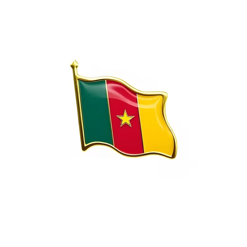 CAMEROON Pin Flag Flag Africa Badge Cameroon Lapel Pin Africa Yaoundé
