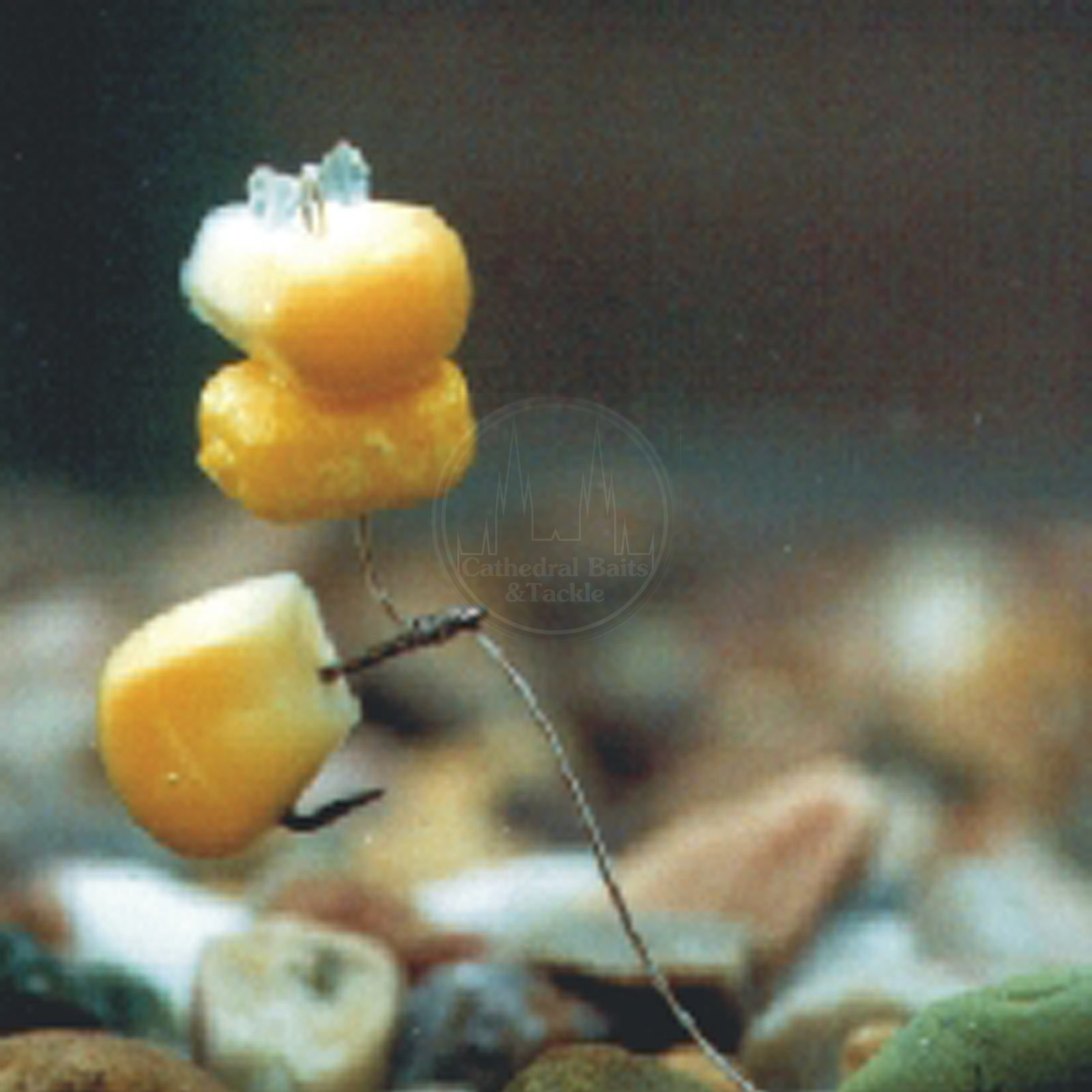 Enterprise Tackle Imitation Yellow Popup Sweetcorn Carp Barbel Coarse Fishing