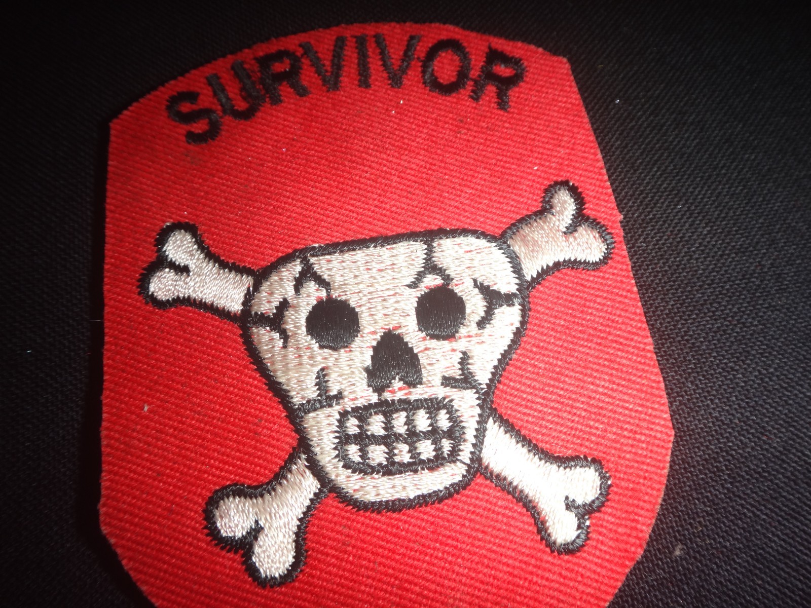 Vietnam War US Special Forces Skull & Crossed Bones SURVIVOR Patch