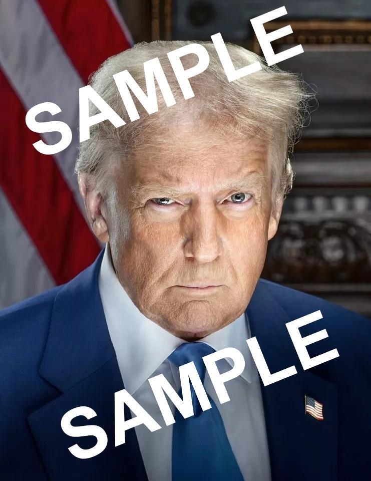 DONALD TRUMP LATEST PORTAIT 47th PRESIDENT ELECT4X6 ON KODAK PREMIUM PHOTO PAPER