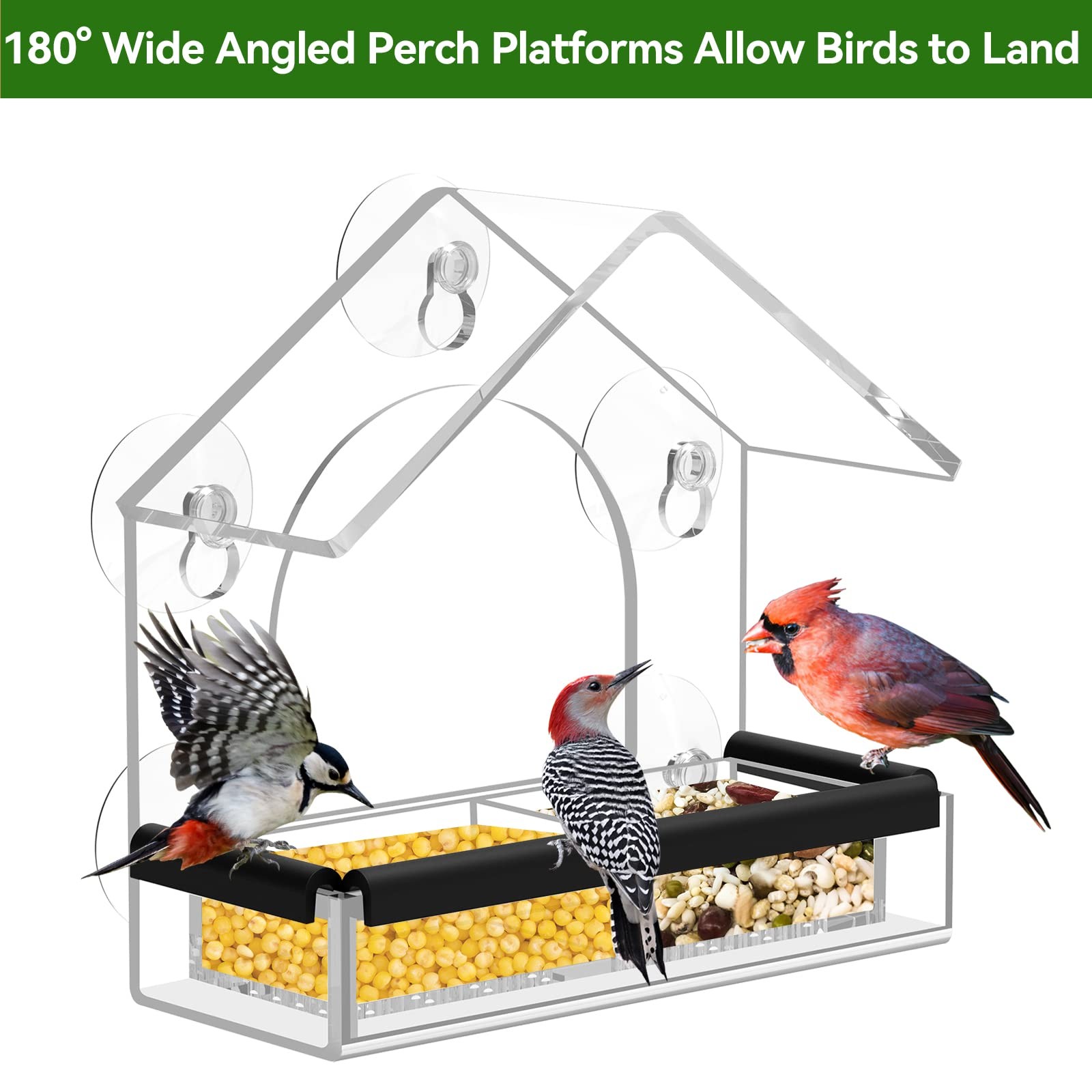 Clear Window Bird Feeder with 5 Extra Strong Suction Cups, Clear,Transparent