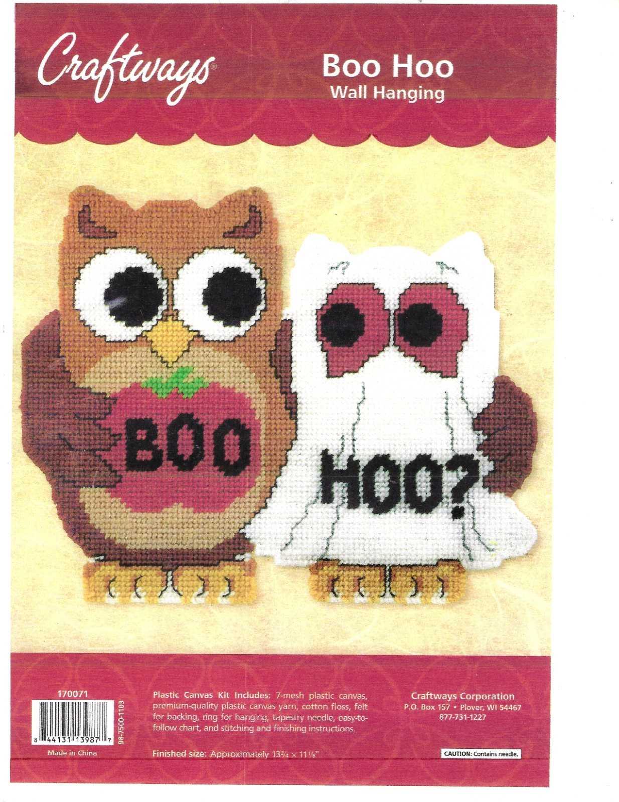 BOO HOO Wall Hanging  plastic canvas  PATTERN (#TF0096)