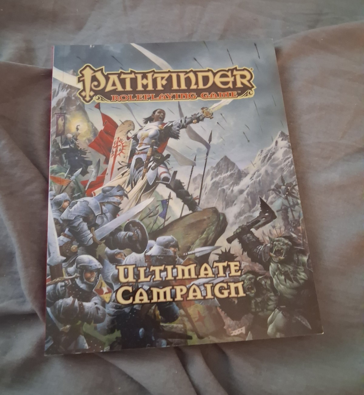 Paizo Pathfinder Roleplaying Game Ultimate Campaign & Equipment (2010) PZO1115
