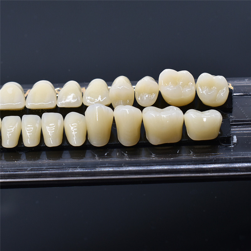 15Sets Acrylic Resin Denture A2 A3 Shade Dental False Teeth Full Set Upper Lower