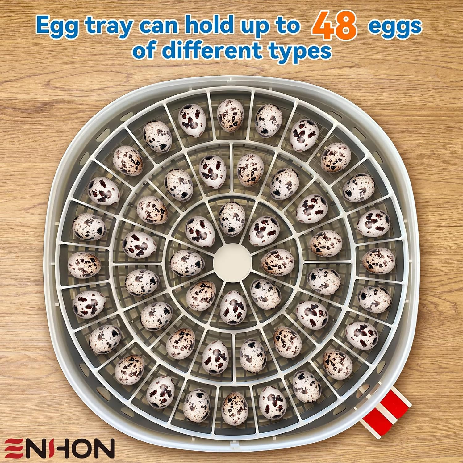 48 Egg Tray Compatible with Nurture Right 360 Incubator, Plastic Egg