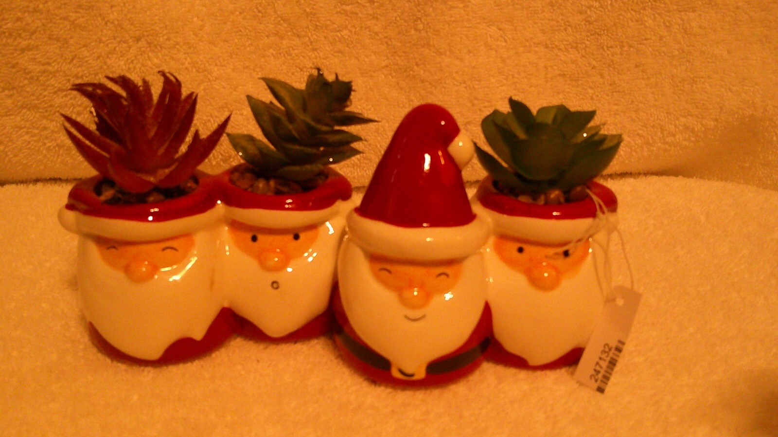 Christmas Santa Claus Planter Succulent New W/Tag Approx 7.5" X 4" W/Succulent