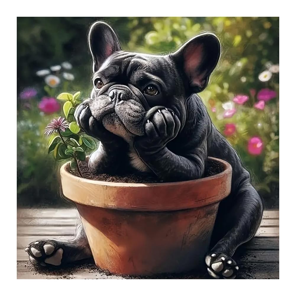 French Bulldog Diamond Art Kits for Adults, 5D Diamond Painting Kits for Beginne