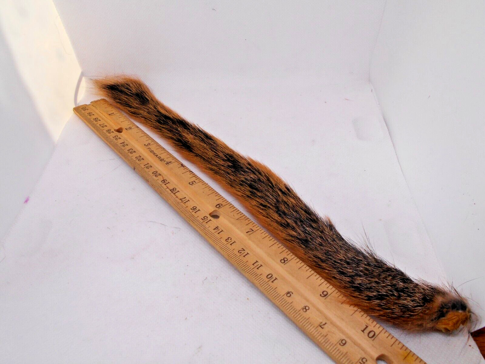 SQUIRREL TAIL - Premium Fly Tying Material - Natural Fox, Gray, Red Pine, & Dyed