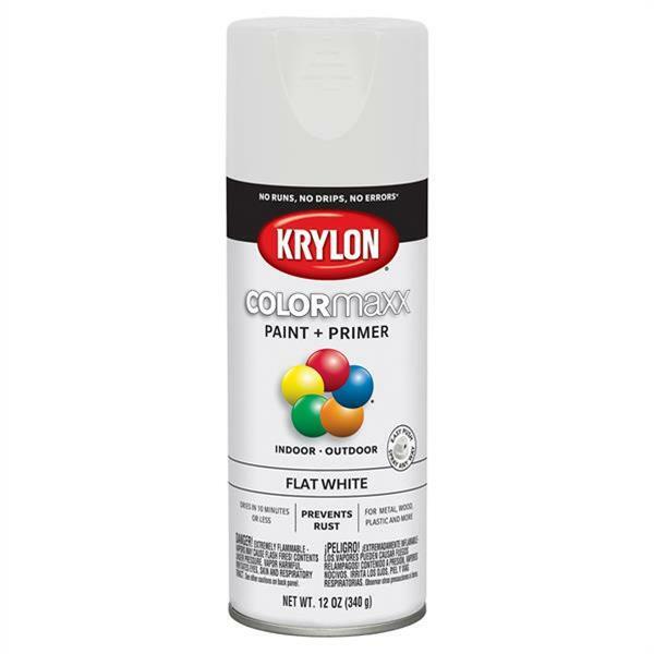 Krylon 5548 12-oz Superior Performance Indoor/Outdoor Spray Paint, Flat White