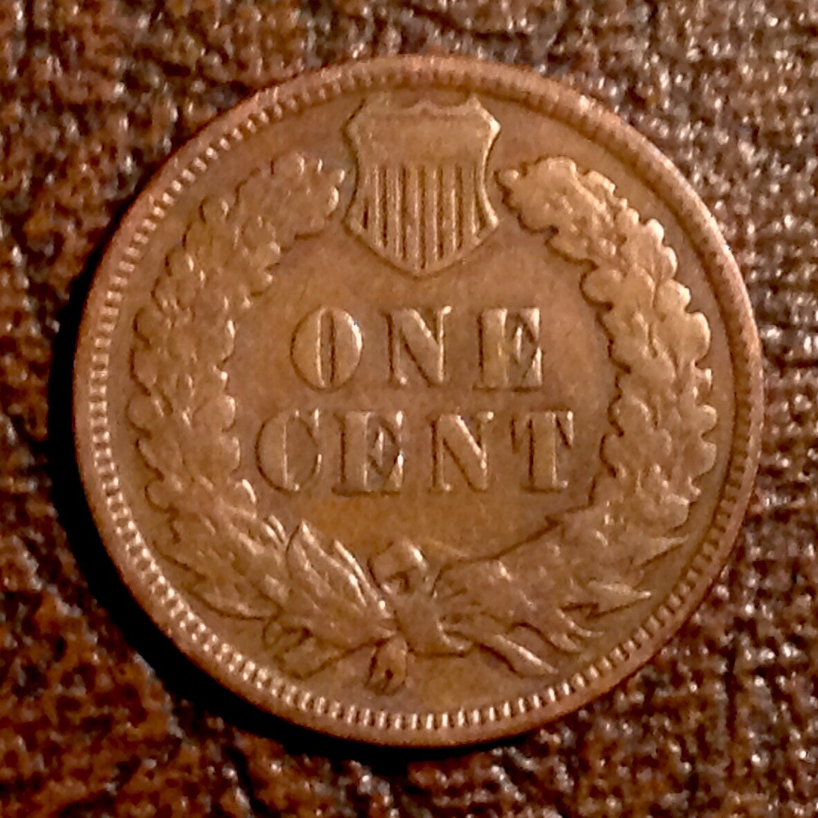 1909 Indian Head Cent - FREE SHIPPING cd -