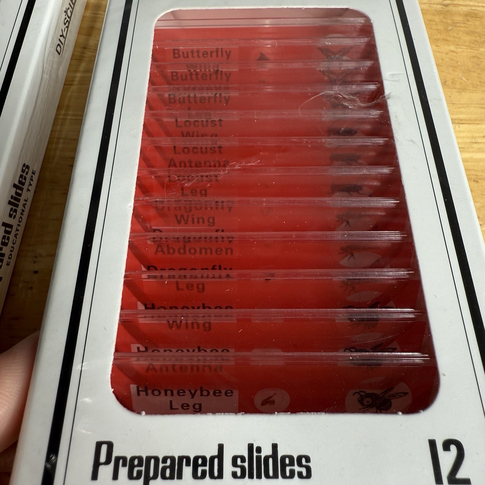 NEW (48) Lot Educational Type Prepared Microscope Slides - Plastic - DIY-Science
