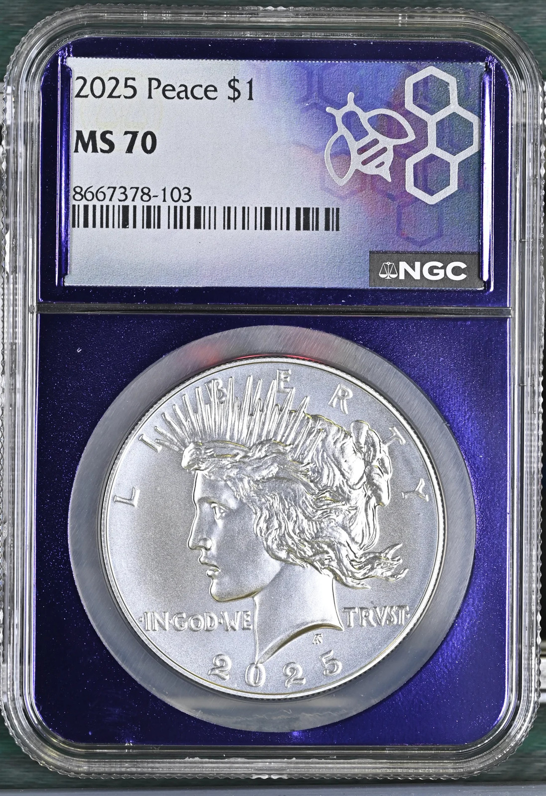 2025 Peace Silver Dollar NGC MS-70 TraderBea Purple Core