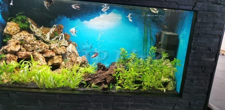 Generic Aquarium Background Poster Under Water Cave Sunlight Fish Tank Backdrop