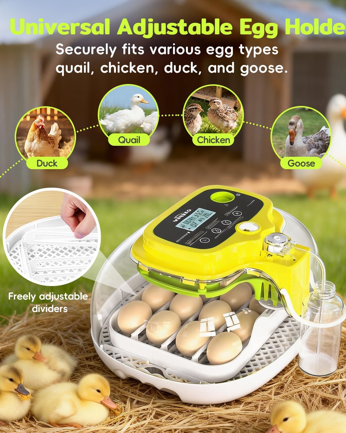 Automatic Egg Incubator 16 Eggs Mini Chicken Hatching Auto Water Refill Kitchen
