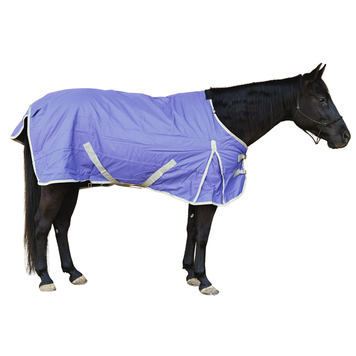 AJ Tack 1200D Waterproof Turnout Blanket 400g, Purple